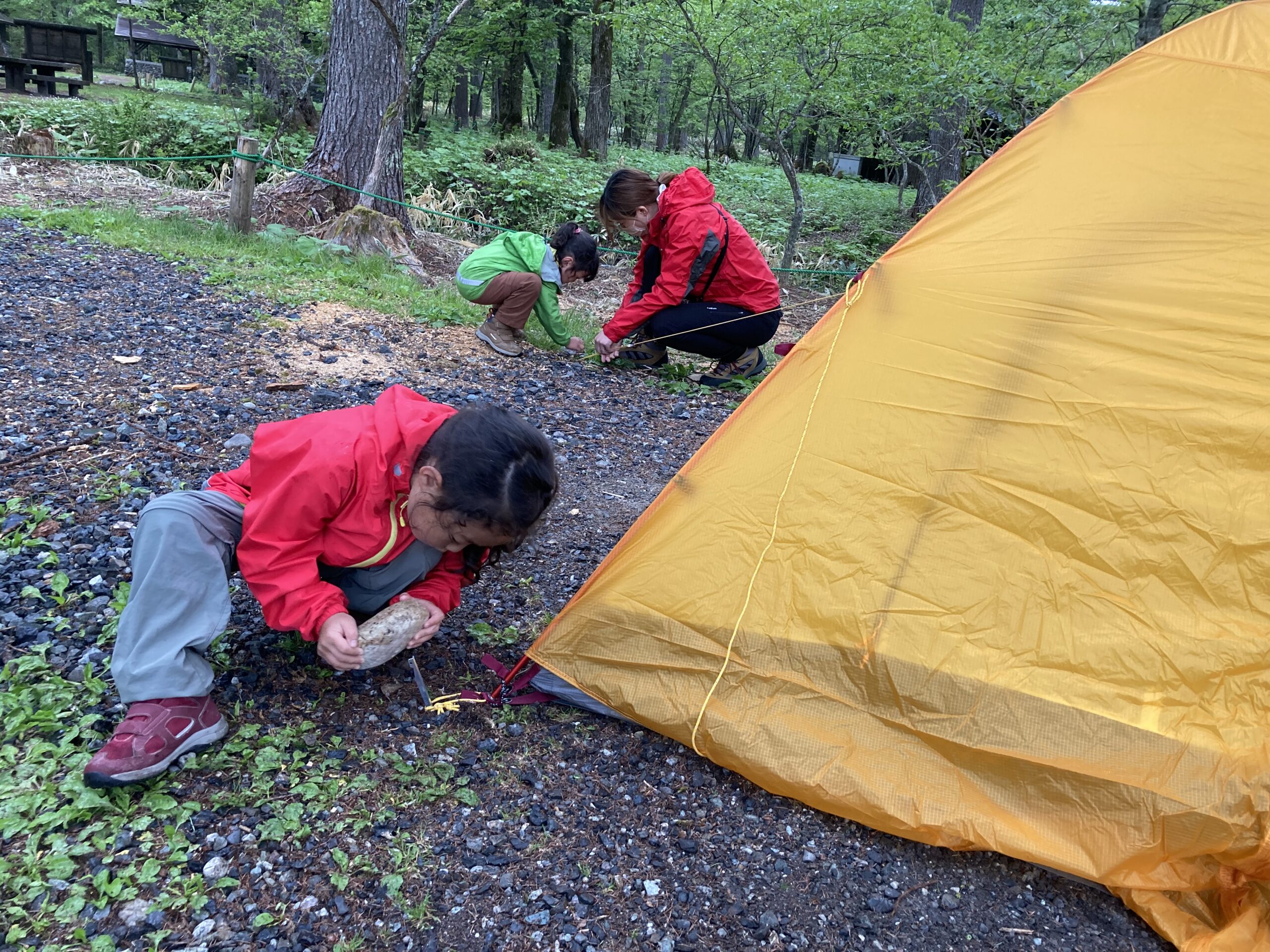子連れキャンプで自然を満喫する家族の風景